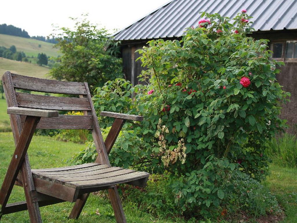 ホテル Haus Tannenhof Ibach エクステリア 写真