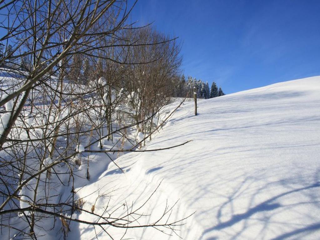 ホテル Haus Tannenhof Ibach エクステリア 写真